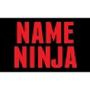 NameNinja logo – domain broker